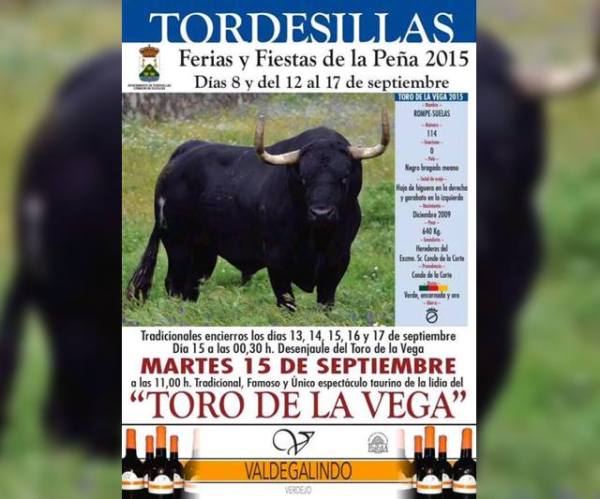 rompesuelas-toro-de-la-vega-2015