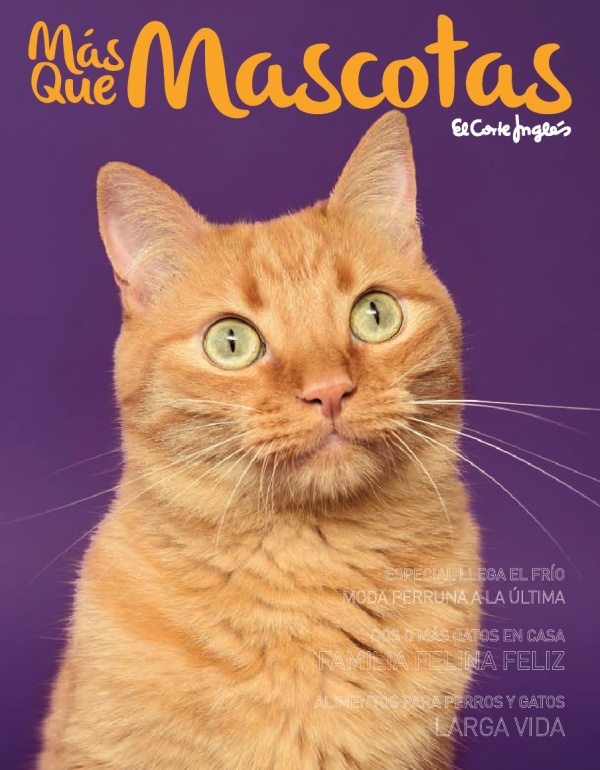 catalogo-el-corte-ingles-mas-que-mascotas-diciembre-2015