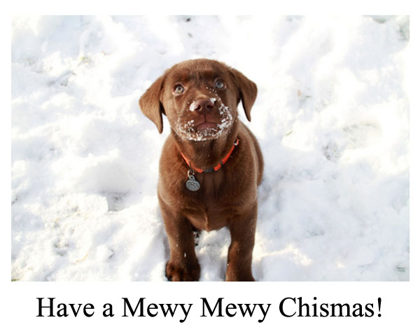 postales-de-animales-para-navidad-2015-cachorro-perro