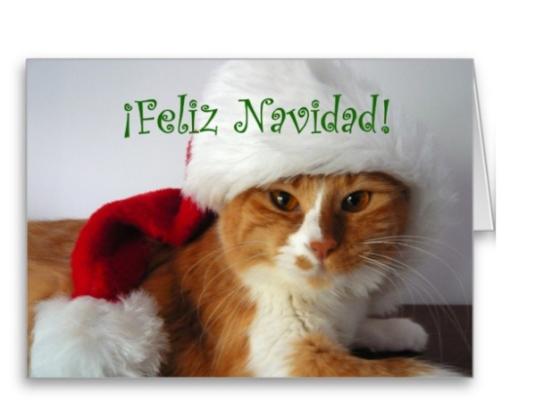 postales-de-animales-para-navidad-2015-gato