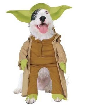 Disfraces para perros Halloween 2009 maestro yoda