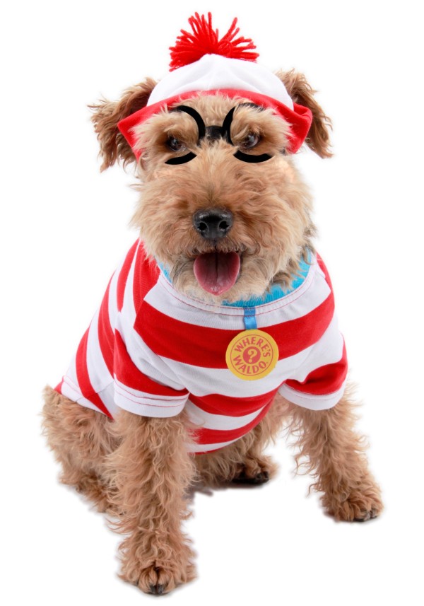 disfraces-para-perros-carnaval-2016-disfraz-de-wally