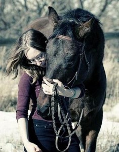 Caballo domestico