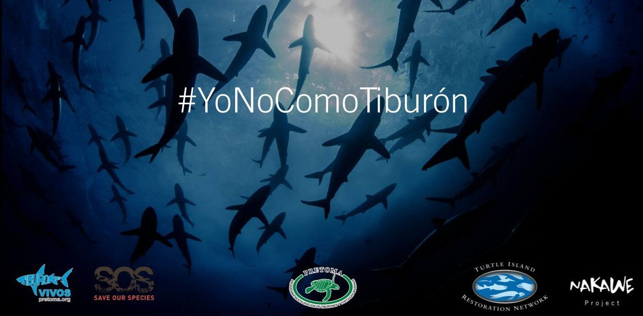 Apoyamos la campaña Yo no como tiburón