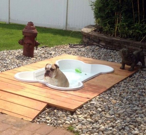 comprar piscinas para perros