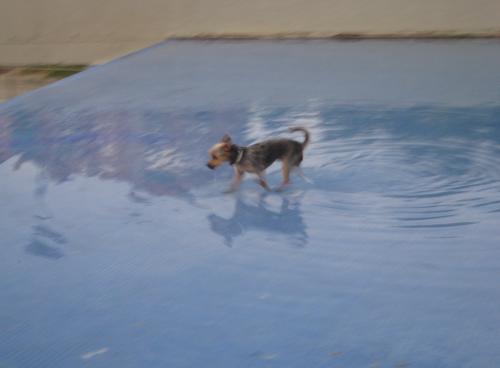 jugando-en-la-piscinabegona-sastre.jpg