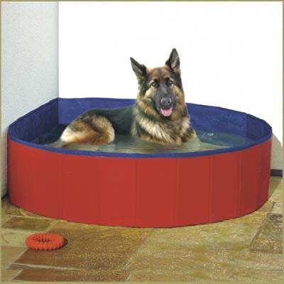 piscinas para perros