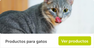 Banner_Gatos_959