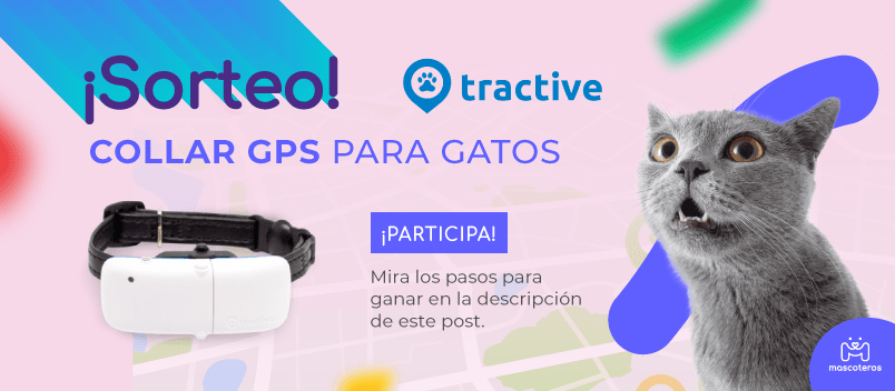 Sorteo Tractive